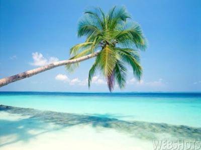 les vacancs c bien nes pa